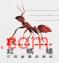 红蚂蚁装饰装潢加盟