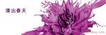 紫荆花油漆